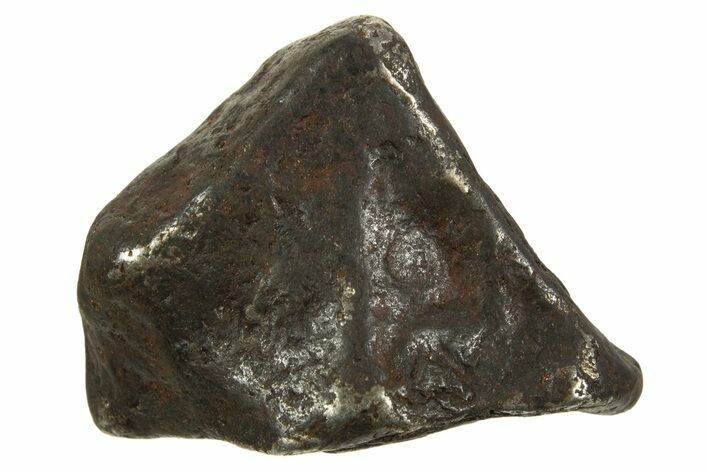 Canyon Diablo Iron Meteorite ( g) - Arizona #335954